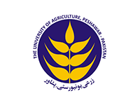 University-of-Agriculture,-Peshawar